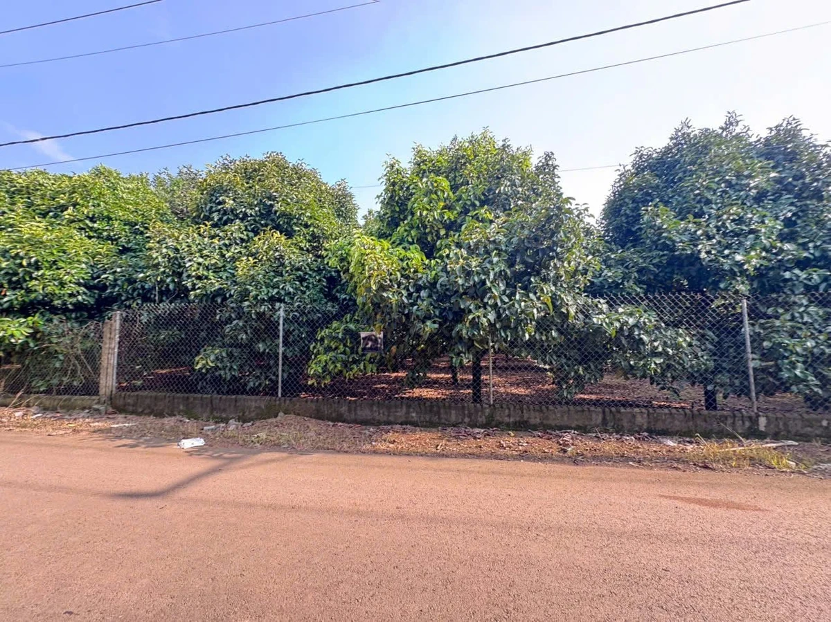 Bán đất thổ cư 125m² Dầu Giây 310 triệu - Ảnh thu nhỏ 2