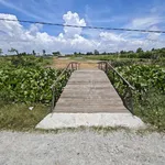 Bán đất 2 mặt tiền 7780m² Phường Vĩnh Thông An Giang - Ảnh thu nhỏ 4