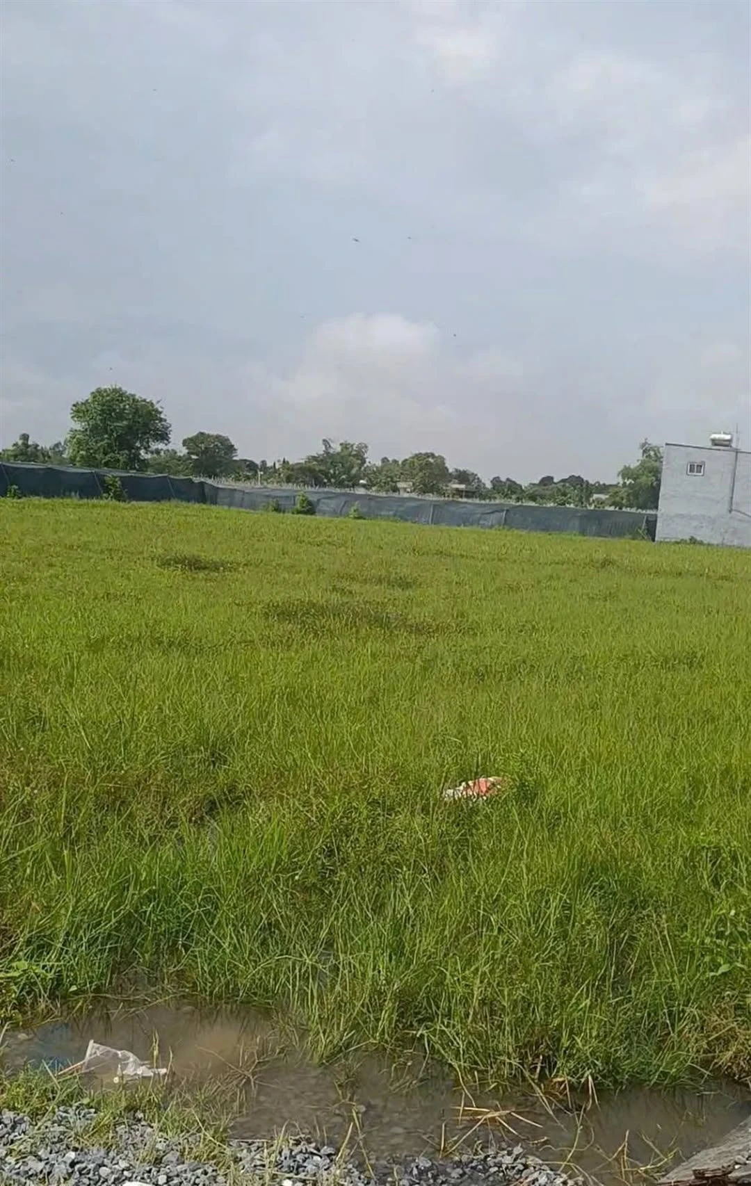 Bán đất Mỹ Hạnh Bắc Đức Hòa Long An 1860m2 - Ảnh 1