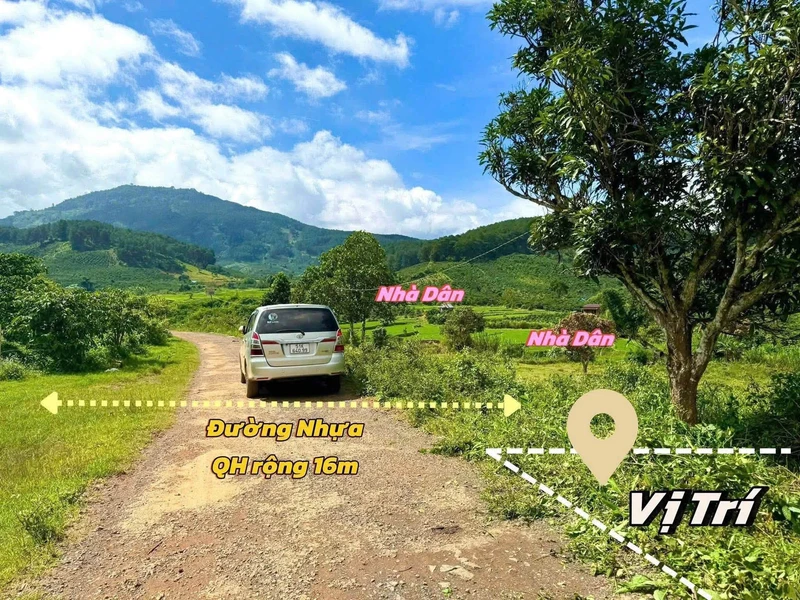 Bán đất 1050m² Di Linh Lâm Đồng 890 triệu
