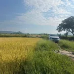 Bán đất cây trồng 3 sào tại Hàm Phú, Hàm Thuận Bắc - Ảnh thu nhỏ 1
