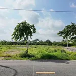 Bán 2 lô đất liền kề mặt tiền Hương Lộ 9, 250m², Đồng Nai - Ảnh thu nhỏ 2