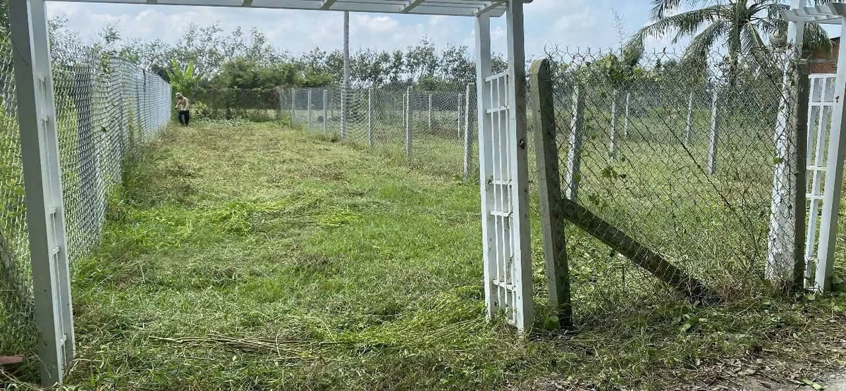 Bán đất Giồng Cà Bình Minh Tây Ninh 150m2, 199 triệu - Ảnh thu nhỏ 2