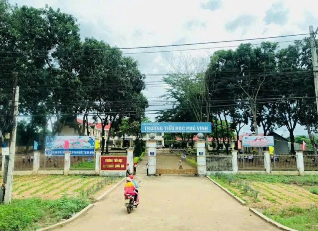 Bán đất hẻm QL14, 341m² Xã Hòa Phú, Buôn Ma Thuột - Ảnh thu nhỏ 4
