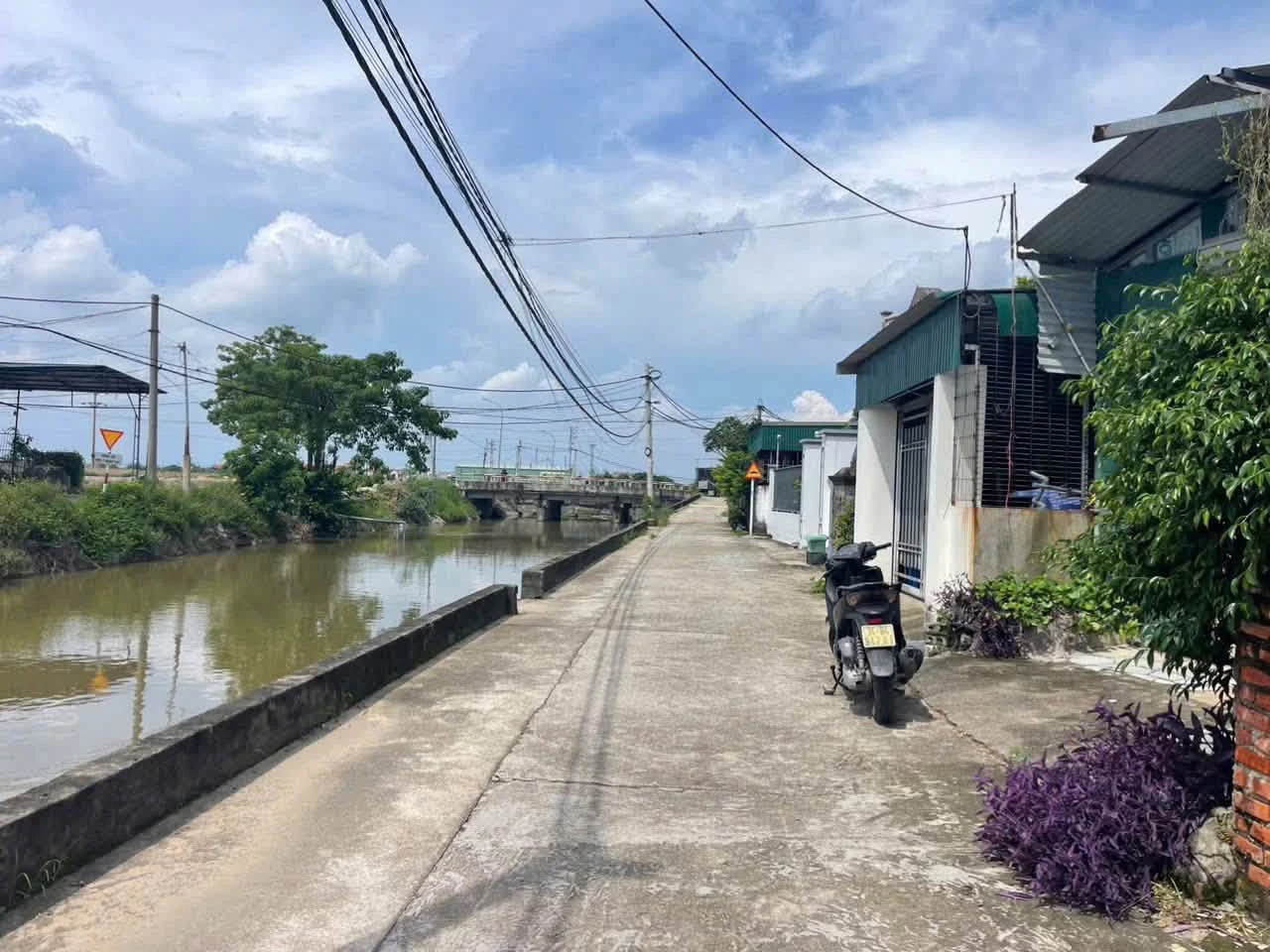 Bán lô đất 121m2 Lôi Xá Cầm Giàng Hải Dương - Ảnh 1