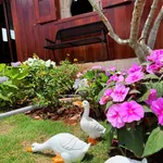 Bán căn nhà mới xây 2PN, có sân vườn rộng sân BBQ full nội thất chỉ xách vali vào ở 999tr còn 899tr - Ảnh thu nhỏ 13