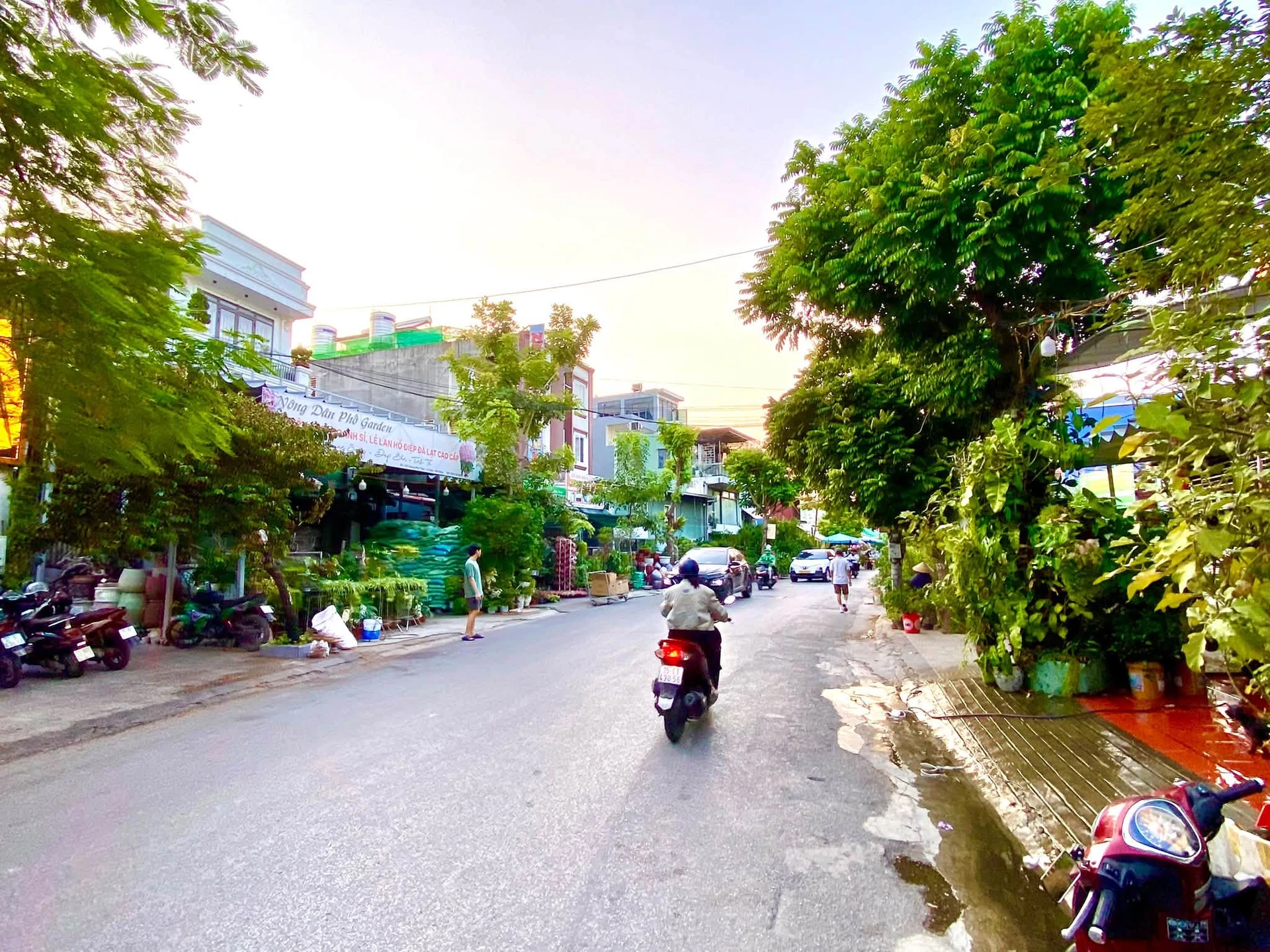 Bán nhà mặt phố Tam Bạc 50m², 5 tầng, 12 tỷ - Ảnh 1