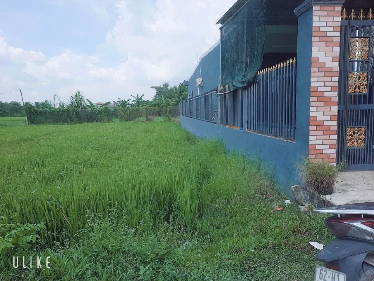 Bán đất 130m2 Đức Lập Hạ Long An 1 tỷ 250 triệu - Ảnh thu nhỏ 2