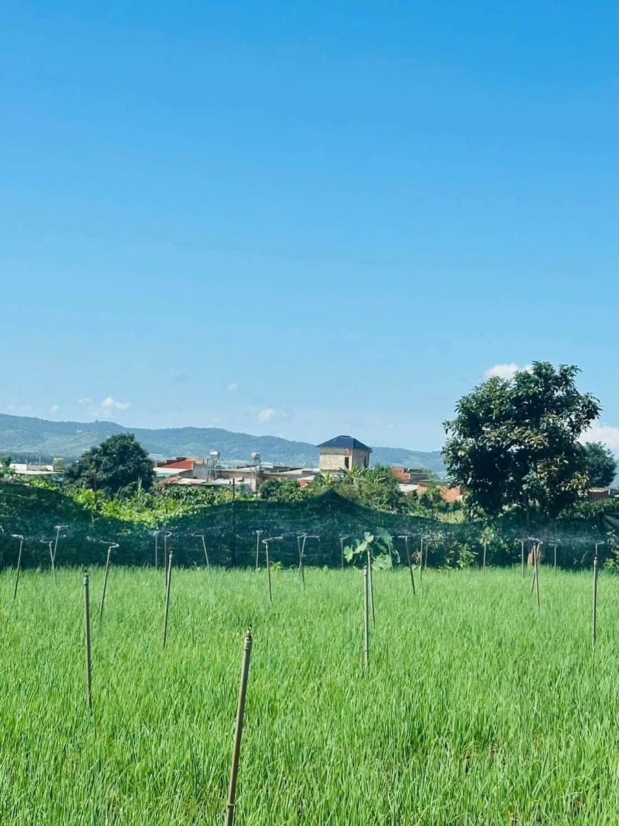 Bán đất 300m² tại Đơn Dương, Lâm Đồng, chỉ 799 triệu - Ảnh thu nhỏ 2