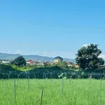 Bán đất 300m² tại Đơn Dương, Lâm Đồng, chỉ 799 triệu - Ảnh thu nhỏ 2