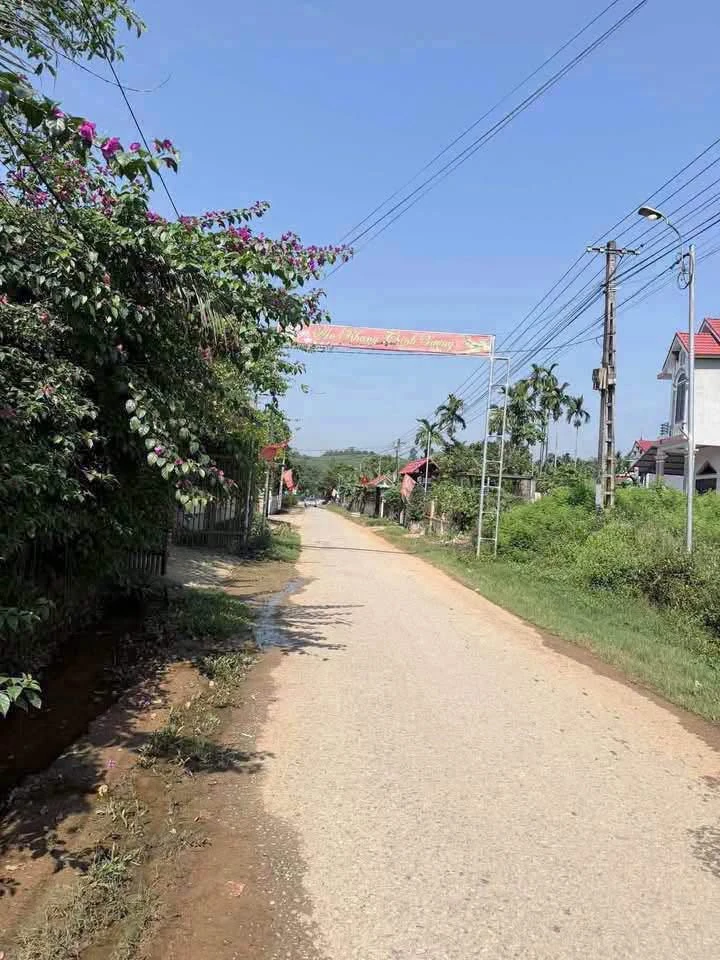Bán đất Võ Miếu Thanh Sơn 124–147m² sổ đỏ - Ảnh thu nhỏ 2