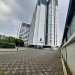 Cho thuê căn hộ 2PN 60m² City Tower Thuận An, Bình Dương - Ảnh thu nhỏ 1