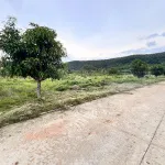 Bán đất 884m2 có thổ cư, khu Tượng Cửa Dương, sổ đỏ sẵn công chứng - Giá đầu tư - Ảnh thu nhỏ 6