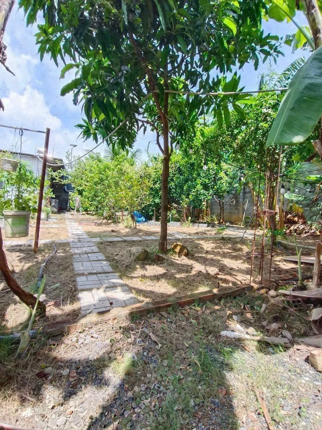 Bán nhà vườn 620m² Phường Bửu Long, giá 3 tỷ - Ảnh 1