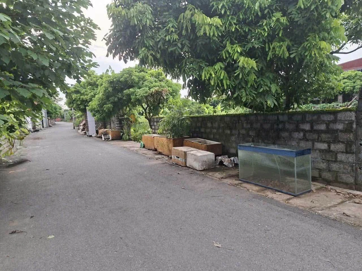 Bán đất Phương Chiểu Hưng Yên 102m2 1 tỷ - Ảnh thu nhỏ 2