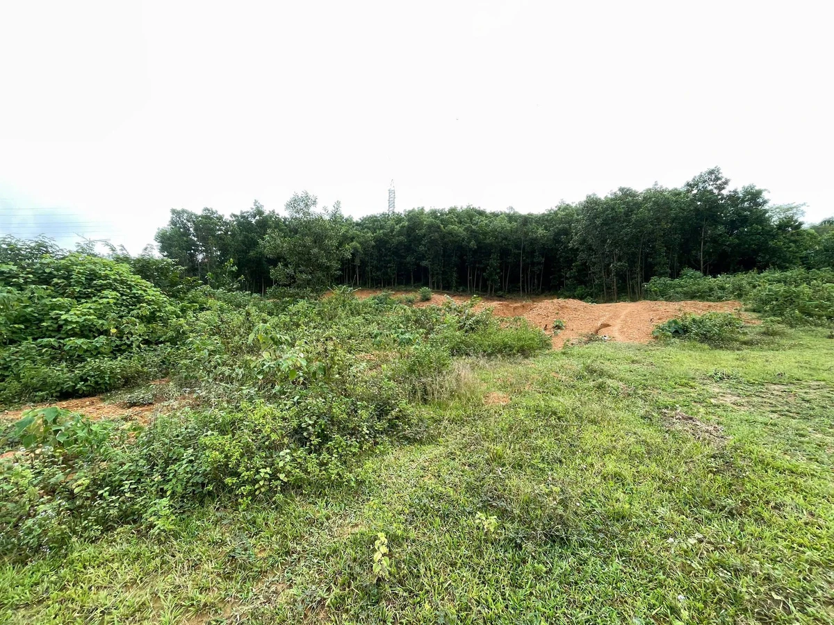 Bán đất 1.855m² tại Ba Hàng Đồi, Hòa Bình, 3,9 tỷ - Ảnh 1