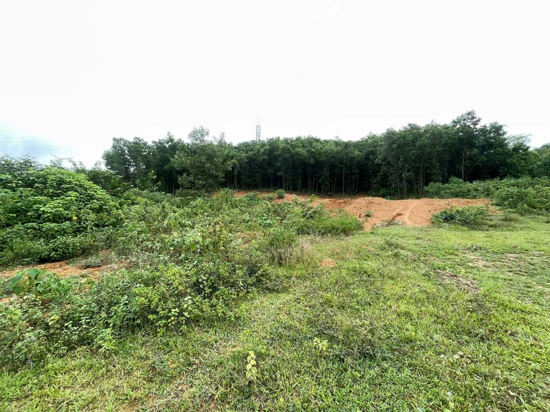 Bán đất 1.855m² tại Ba Hàng Đồi, Hòa Bình, 3,9 tỷ
