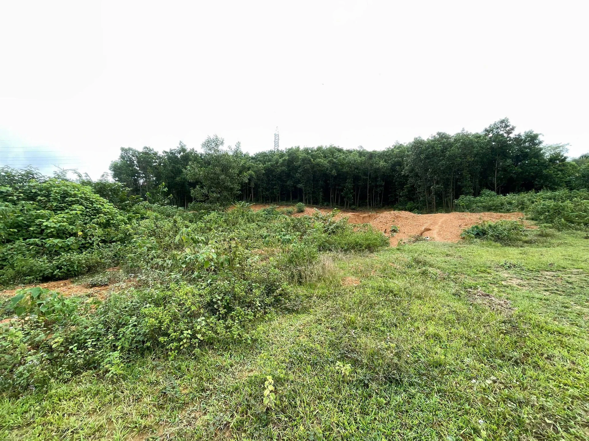 Bán đất 1.855m² tại Ba Hàng Đồi, Hòa Bình, 3,9 tỷ - Ảnh 1