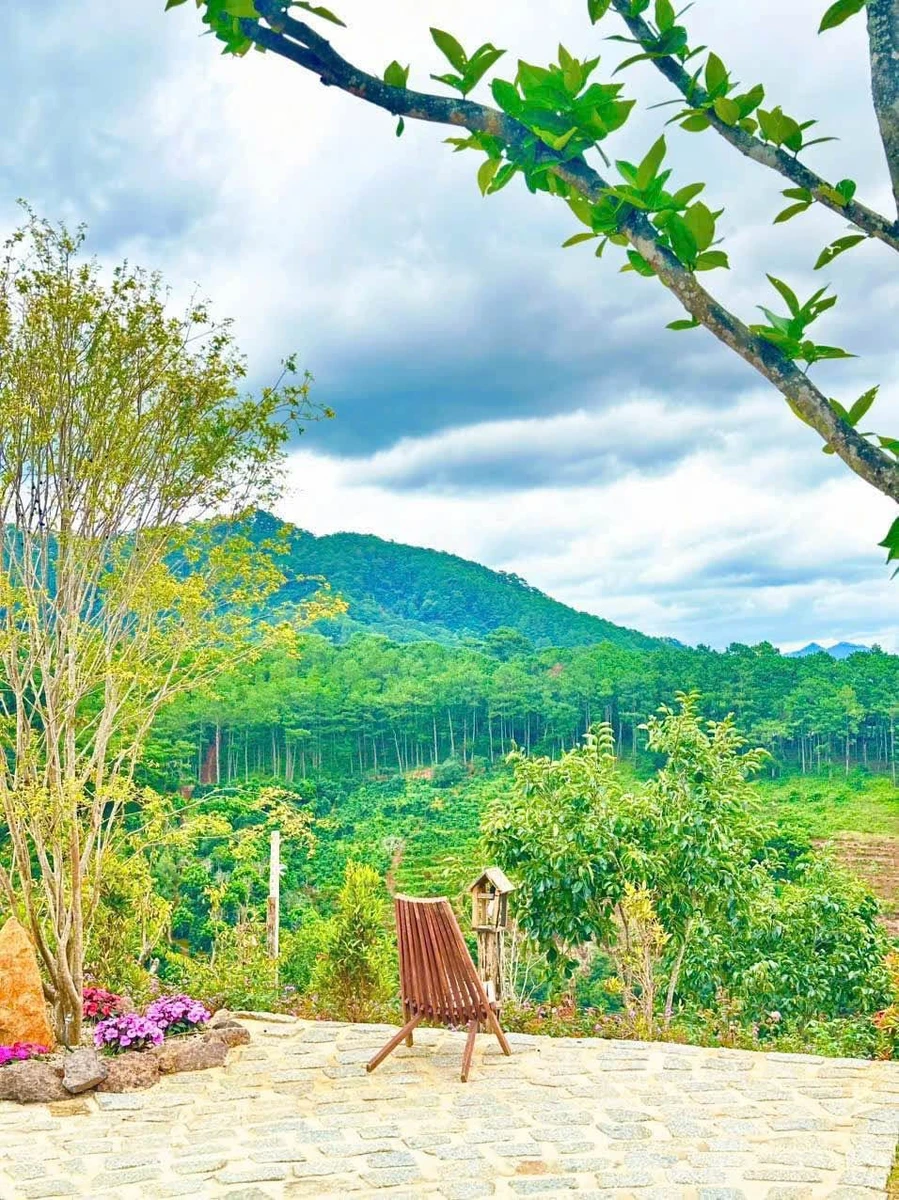 Bán biệt thự 2200m2 full nội thất tại D'ran, 10 tỷ - Ảnh thu nhỏ 4