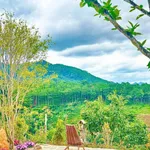 Bán biệt thự 2200m2 full nội thất tại D'ran, 10 tỷ - Ảnh thu nhỏ 4
