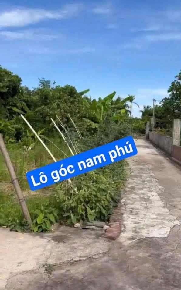 Bán lô góc 115 m² Phú Tiền Hải Thái Thái Bình 900 triệu - Ảnh 1