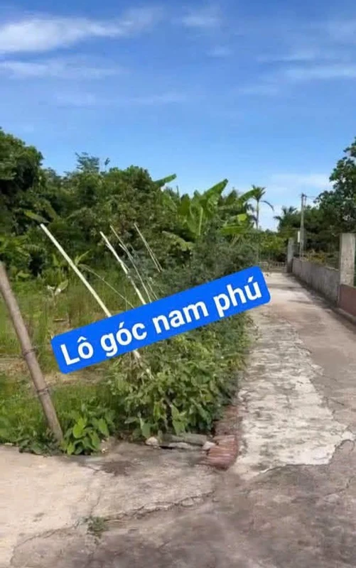 Bán lô góc 115 m² Phú Tiền Hải Thái Thái Bình 900 triệu