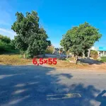 Bán đất mặt tiền 360m² Mỹ Lạc, Thủ Thừa - Ảnh thu nhỏ 2
