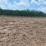 Bán đất tại 1 Sẹc đường Chánh Phú Hòa 045, phường Chánh Phú Hòa, 26 tỷ, 2200m2 - Ảnh thu nhỏ 6