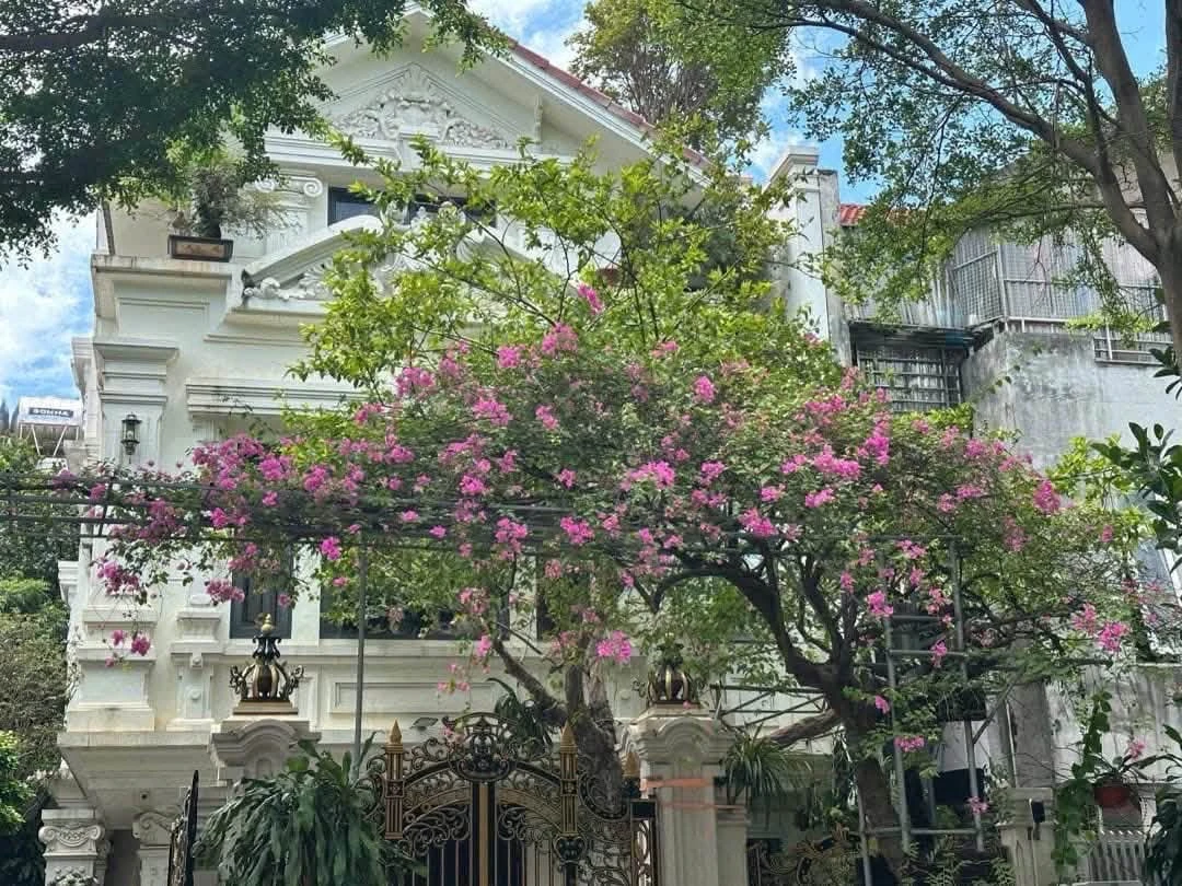 Bán biệt thự Văn Phú 201m, 3 tầng, 30 tỷ - Ảnh 1
