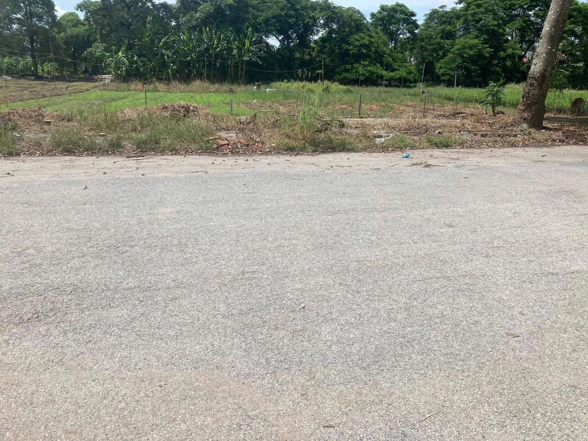 Bán đất 93m² mặt tiền 5,5m Đông Hải Hải Phòng - Ảnh thu nhỏ 3