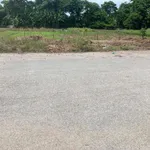 Bán đất 93m² mặt tiền 5,5m Đông Hải Hải Phòng - Ảnh thu nhỏ 3