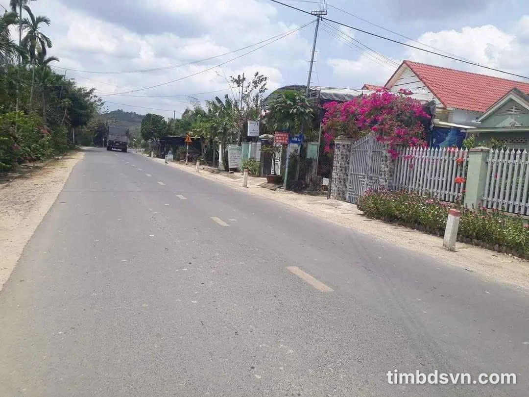 Bán đất mặt tiền Tỉnh Lộ 2 160m² Diên Thọ - Ảnh thu nhỏ 3