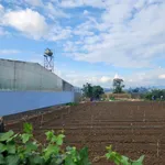 Bán đất mặt tiền đường nhựa Phú Trung Đức Trọng Lâm Đồng 230m2 - Ảnh thu nhỏ 2