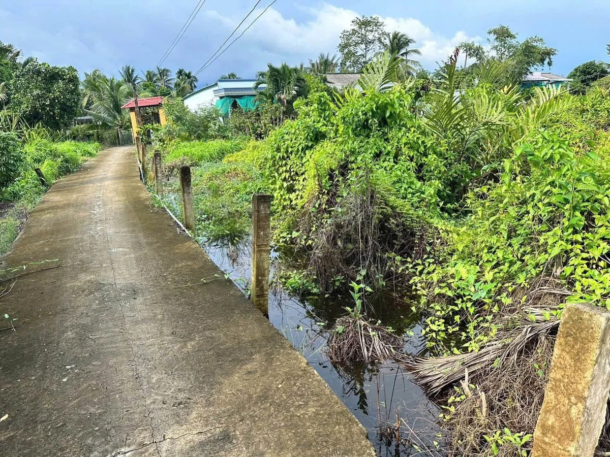 Bán đất 1000m² Ấp 3 Thạnh Đức Nhà Bè, được lên thổ cư - Ảnh thu nhỏ 4