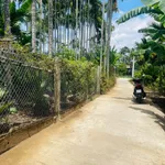 Bán vườn cau Cần Giờ 2000m2, 1 tỷ, sát cầu Phước Lộc - Ảnh thu nhỏ 1