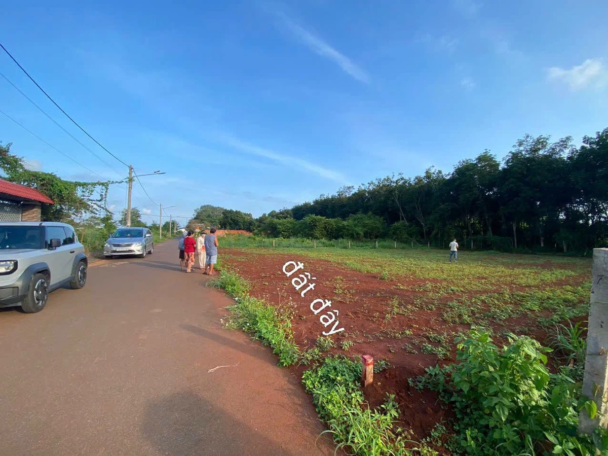 Bán đất 1.074m2 Long Tân, xã Đất Đỏ, giá 2,45 tỷ - Ảnh thu nhỏ 2