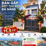 Bán biệt thự biển Đà Nẵng 295m² 5PN 11,5 tỷ, cho thuê 30tr/tháng - Ảnh thu nhỏ 1