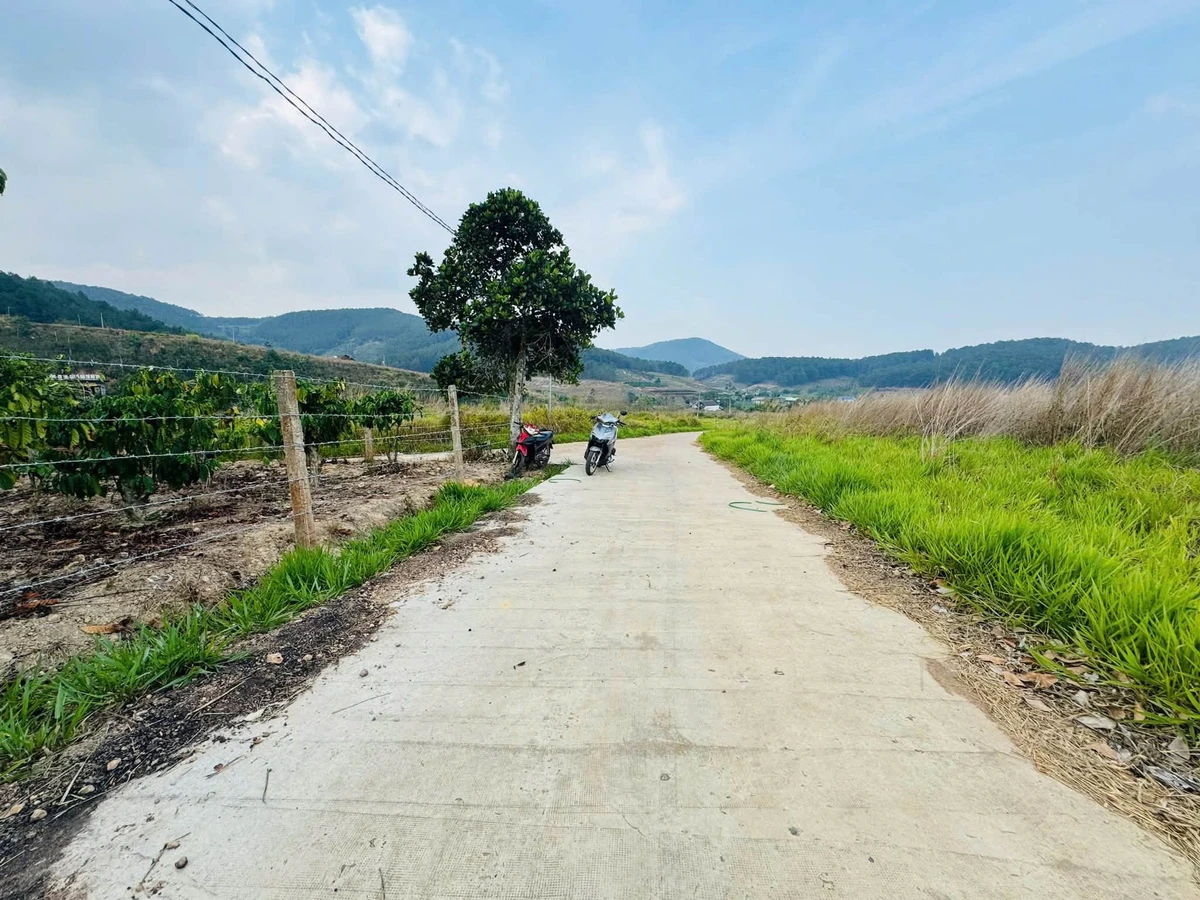 Bán đất 929m2 xã Nam Ban Lâm Hà 1.15 tỷ - Ảnh thu nhỏ 5