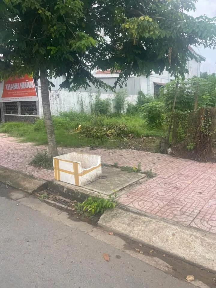Bán 2 lô đất thổ liền kề 5x32m mặt Quốc Lộ 50, Cần Dước - Ảnh thu nhỏ 4