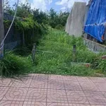 Bán đất 170m² Ninh Thạnh, Tây Ninh, giá 200 triệu/m² - Ảnh thu nhỏ 2