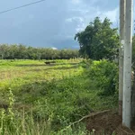 Bán đất mặt tiền đường nhựa 100m2 giá 290 triệu tại Thiện Hưng, Bù Đốp, Bình Phước - Ảnh thu nhỏ 2