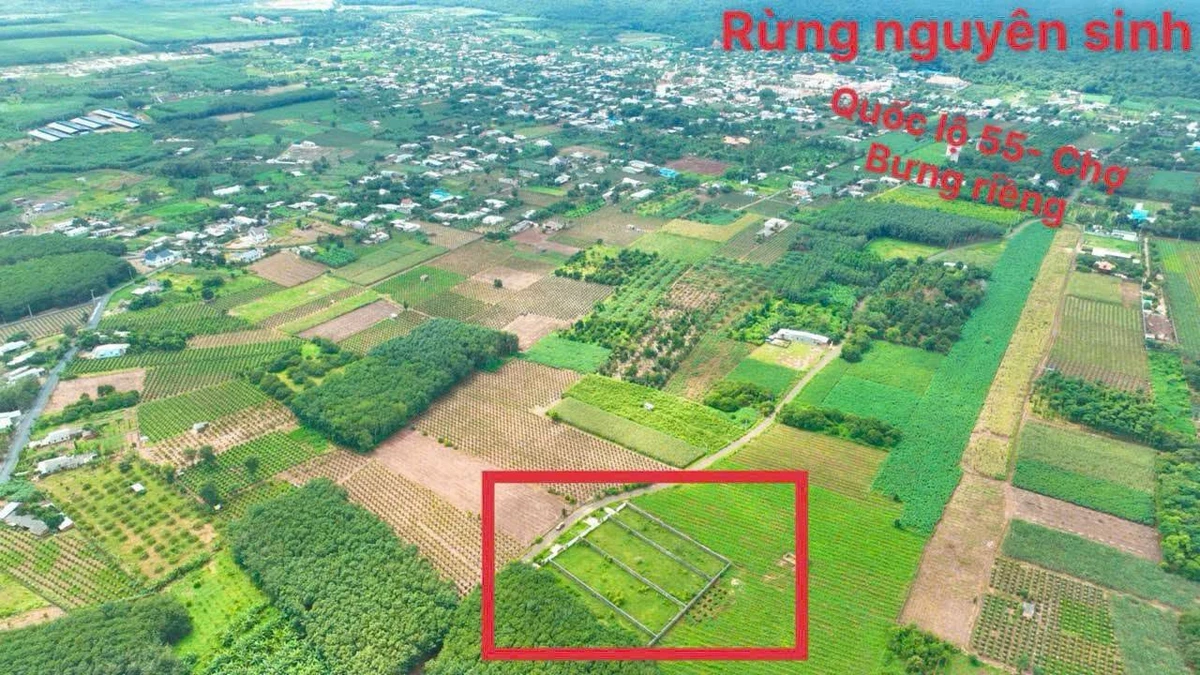 Bán đất 1500m2 Bưng Riềng Xuyên Mộc Bà Rịa - Vũng Tàu - Ảnh thu nhỏ 3