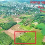 Bán đất 1500m2 Bưng Riềng Xuyên Mộc Bà Rịa - Vũng Tàu - Ảnh thu nhỏ 3