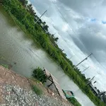 Bán nhà vườn lô góc 2 mặt tiền kênh gần 1.000m² tại Tân Thành, Thủ Thừa, Long An - Ảnh thu nhỏ 1