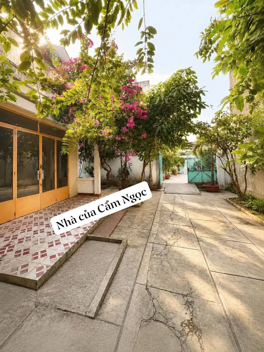 Bán đất 220m2 ngang 10.2m có nhà cấp 4 tại Gò Vấp giá 15,5 tỷ - Ảnh thu nhỏ 4