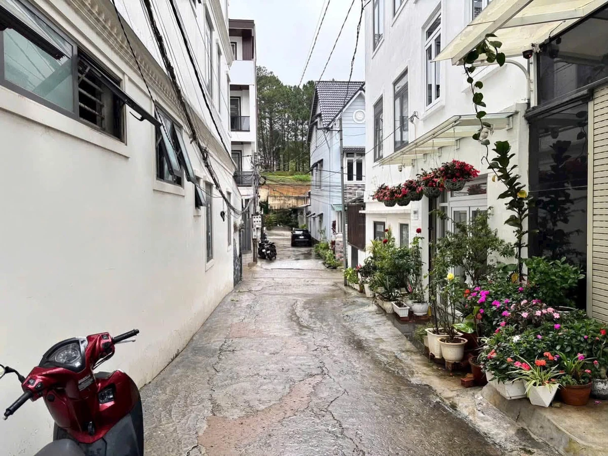 Bán đất Nguyễn Công Trứ, Đà Lạt 48,2m² - Ảnh 1