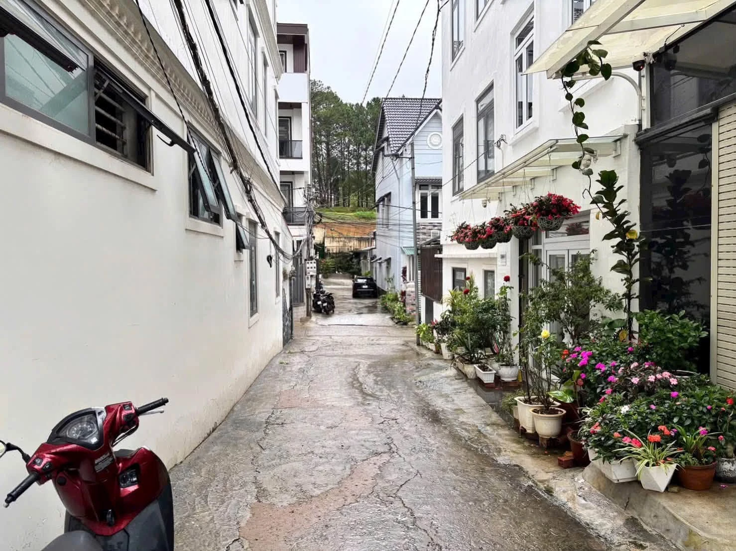 Bán đất Nguyễn Công Trứ, Đà Lạt 48,2m² - Ảnh 1