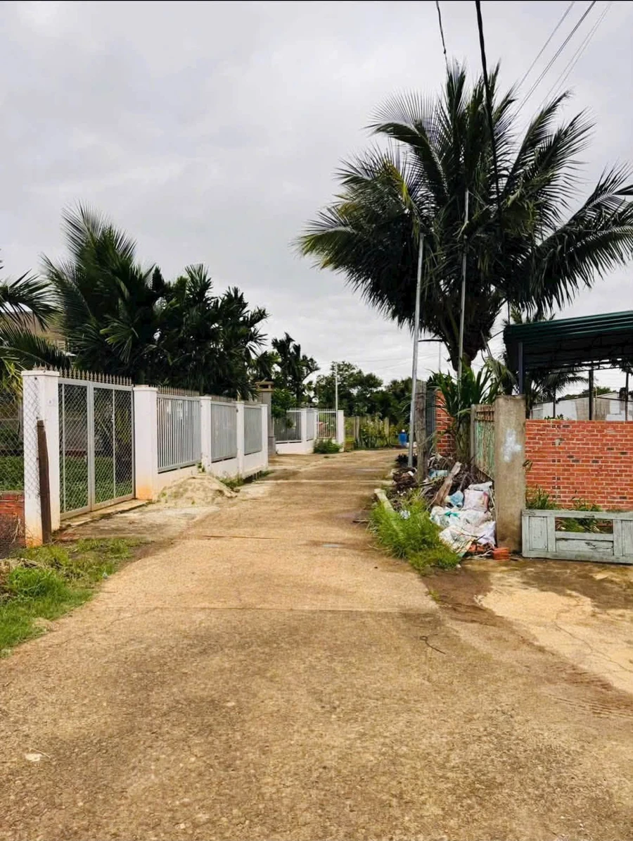Bán nhà hẻm Phan Văn Đạt, Buôn Ma Thuột 2PN, 1 tỷ 750 triệu - Ảnh thu nhỏ 3