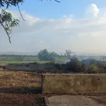Bán đất nông nghiệp 1,6 mẫu Ninh Sơn, Ninh Thuận 900 triệu - Ảnh thu nhỏ 5