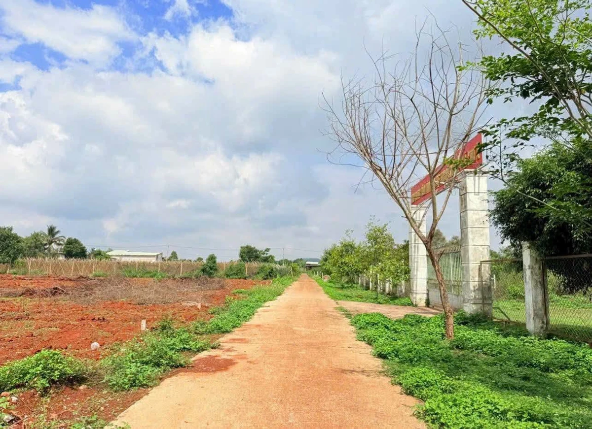 Bán đất 266m² đường Trương Định, Phường An Phú, 620 triệu - Ảnh thu nhỏ 2